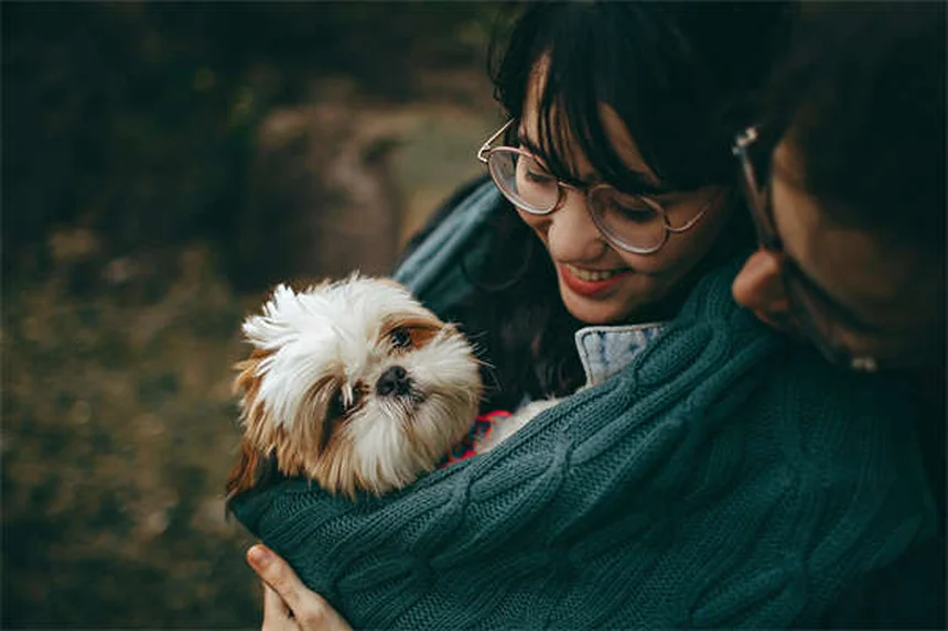 ドゥードル犬16選：あなたにぴったりの種類と特徴を徹底解説